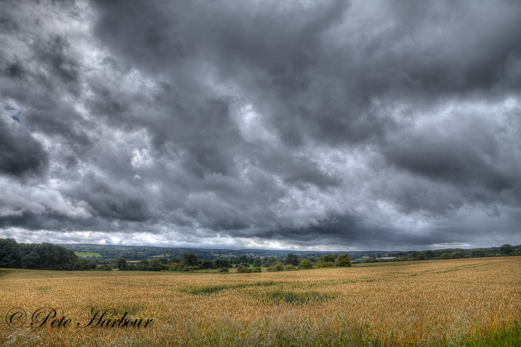 Darenth valley