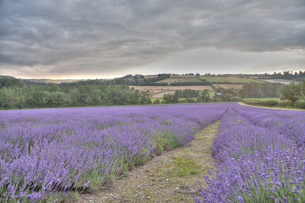 Darenth valley-2